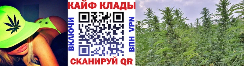 Купить закладку Ужур ГАШ  Alpha-PVP  Кокаин  Мефедрон  Каннабис 