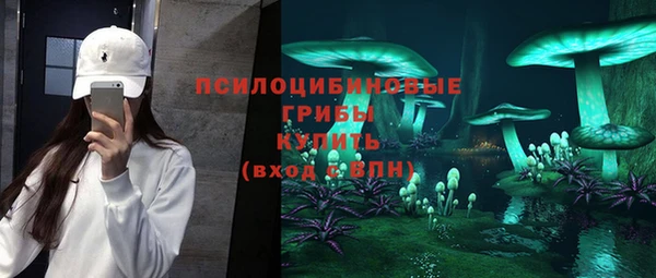 2c-b Няндома
